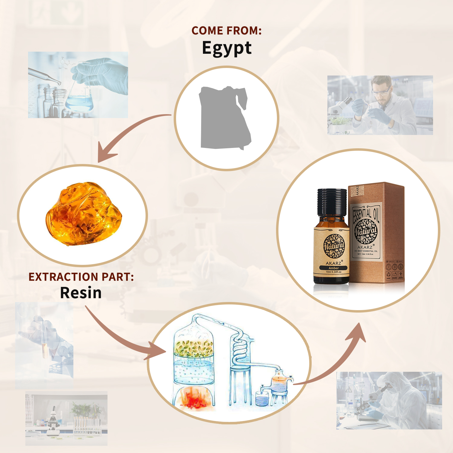Amber Essential Oil – Versatil - Amber Musk Oil 리뷰 및 가격